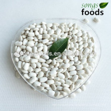 High protein chinese foods of the kidney beans